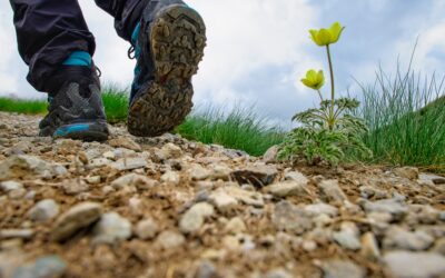 Un pas vers l’avenir : l’initiative de Run In Annecy pour une meilleure expérience de trail
